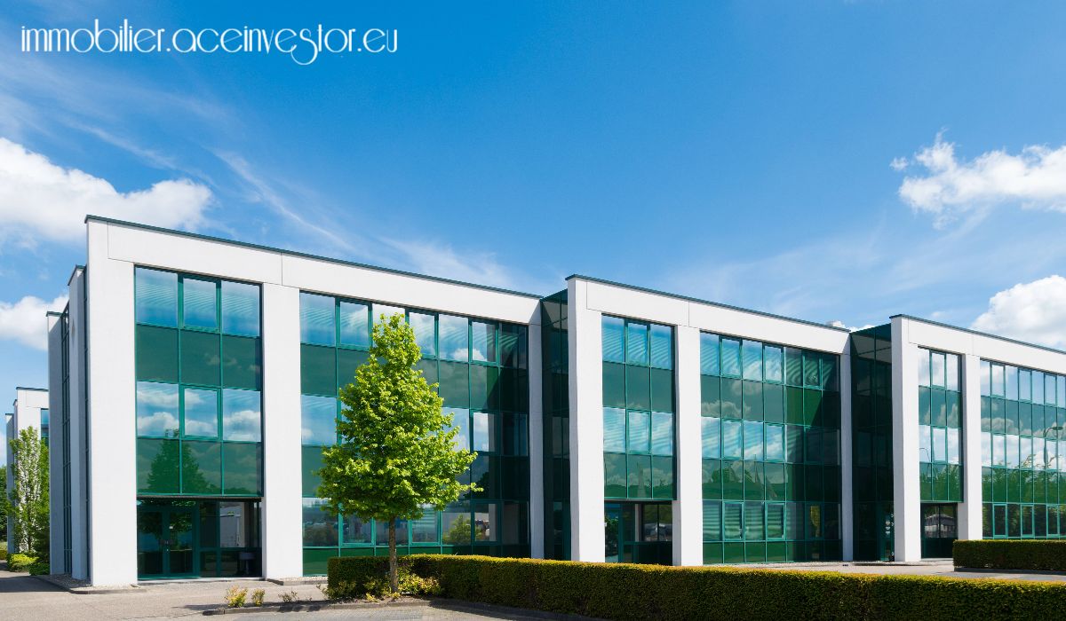 immobilier.aceinvestor.eu